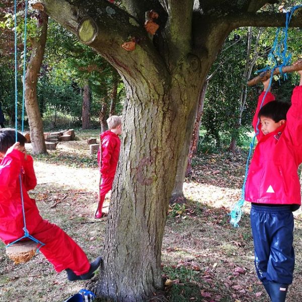 Forest school (2)